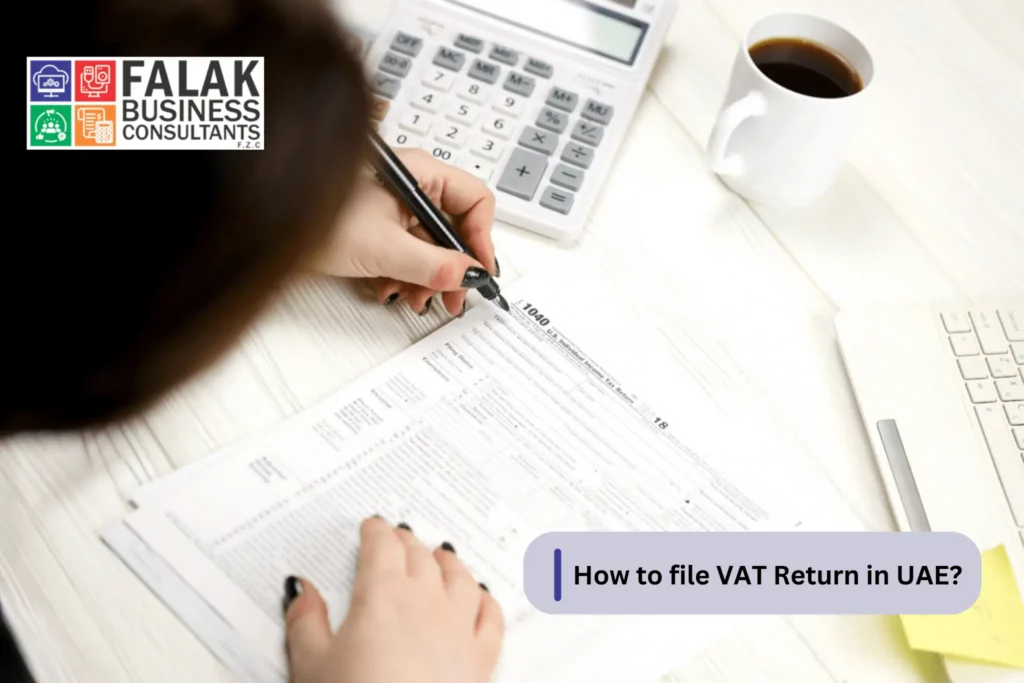 How to File VAT Return in UAE